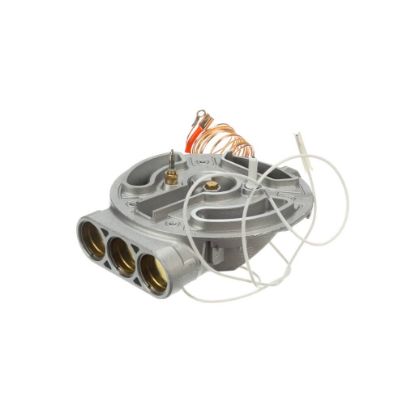 Picture of Bertazzoni Dual Burner Part# 510035