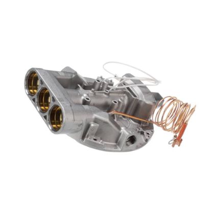 Picture of Bertazzoni Ultra-rapid Burner (Dual) G20/10 Part# 510526