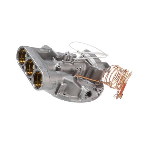 Picture of Bertazzoni Ultra-rapid Burner (Dual) G20/10 Part# 510526