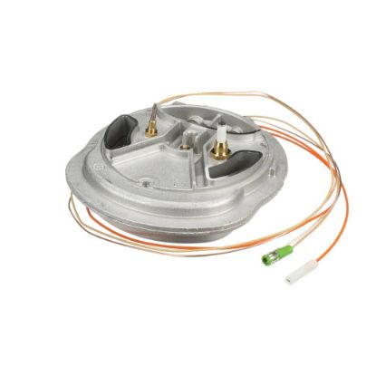 Picture of Bertazzoni Dual Burner Part# 510529