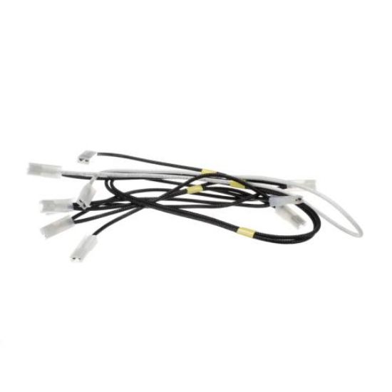 Picture of Bertazzoni Wiring Part# 601693