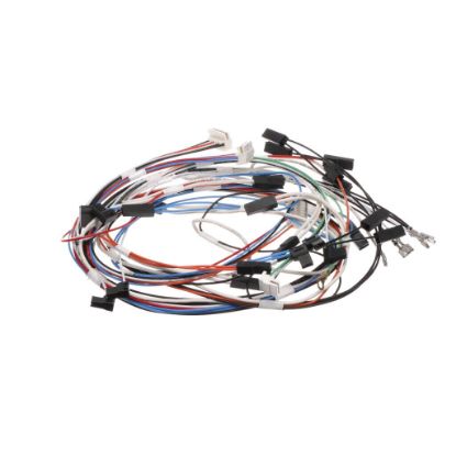 Picture of Bertazzoni Pyro Door Latch Wiring Part# 6016077