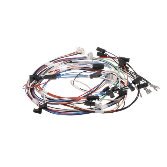 Picture of Bertazzoni Pyro Door Latch Wiring Part# 6016077