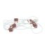 Picture of Bertazzoni Dasychain Switch Part# 604150