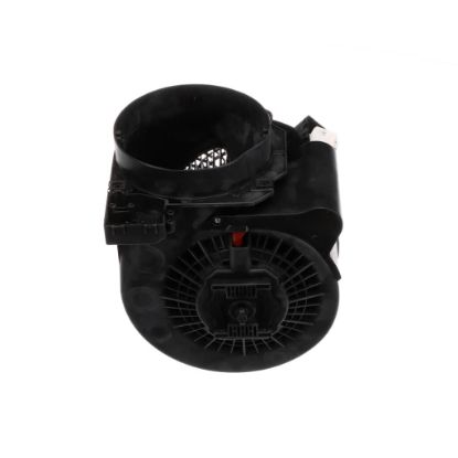 Picture of Bertazzoni Motor Group Part# Z110301