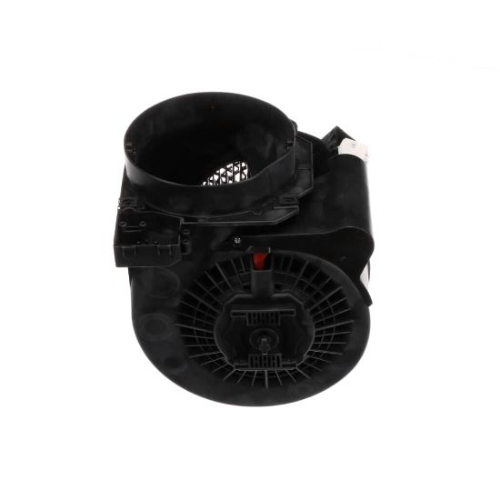 Picture of Bertazzoni Motor Group Part# Z110301