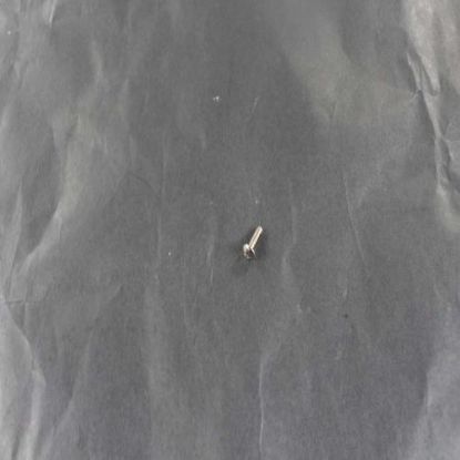 Picture of Bertazzoni Screw Part# Z290105