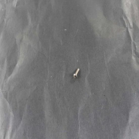 Picture of Bertazzoni Screw Part# Z290105