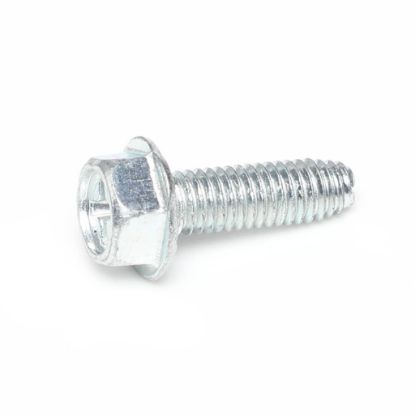 Picture of Bertazzoni Special Flange Self-tapping Screw Part# Z320239