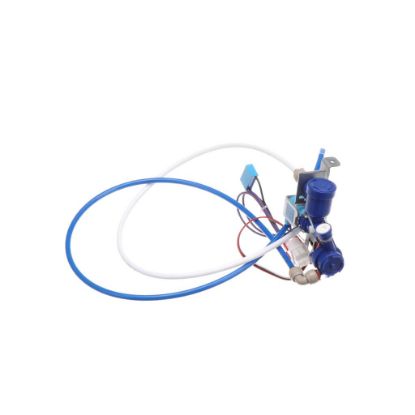 Picture of Bertazzoni Valve Body Part# Z320369