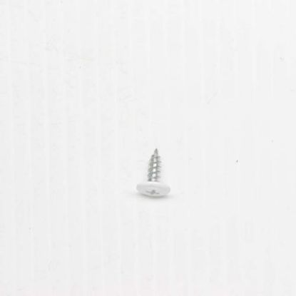 Picture of Haier Door Cap Screw--white Part# 0060600298A