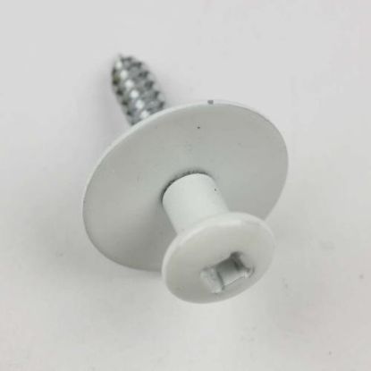 Picture of Haier Icemaker Mounting Screw Part# 60600300