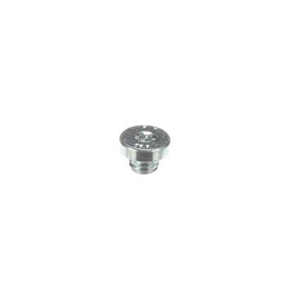 Picture of Liebherr Pt Screw Part# 409872300
