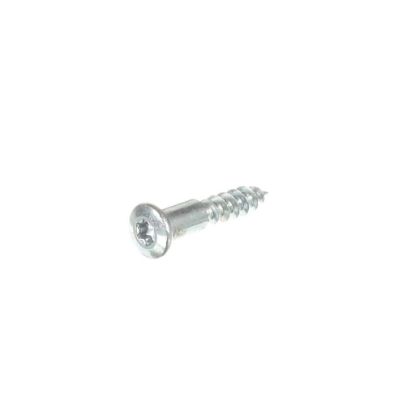 Picture of Liebherr Oval-head Screw Part# 409876700