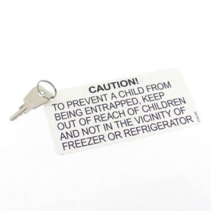 Picture of Liebherr Key Part# 909454500