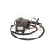 Picture of Liebherr Solenoid Valve Part# 950307601