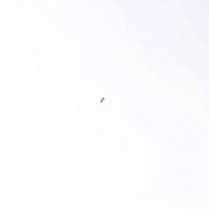 Picture of Midea Fuse (2.5A 125V) Part# 400112912004