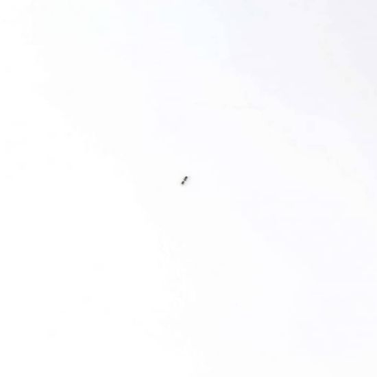 Picture of Midea Fuse (2.5A 125V) Part# 400112912004