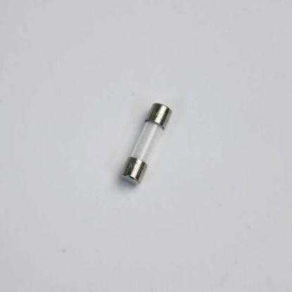 Picture of Panasonic Fuse Part# A65953A40AP