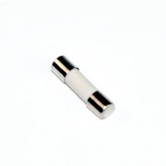 Picture of Panasonic Fuse Part# F62309V60AP