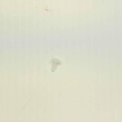 Picture of Sharp Can0e Clip Part# PCLICA044WREZ