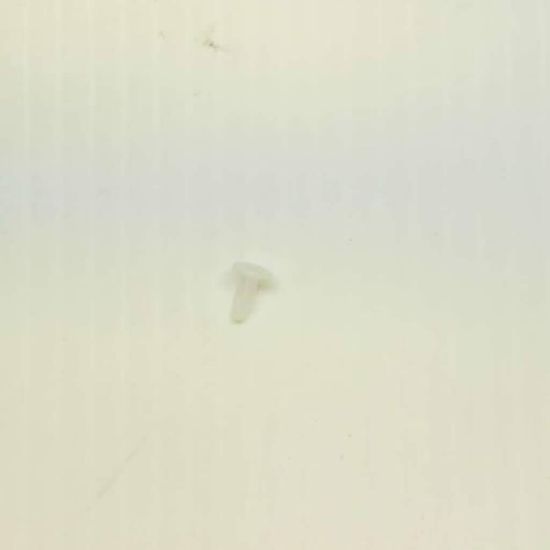 Picture of Sharp Can0e Clip Part# PCLICA044WREZ